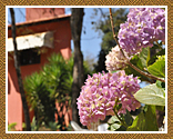 Hotel em Lagoa Santa - Cio da Terra - �rea Verde